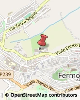 Palestre e Centri Fitness,63900Fermo