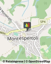 Avvocati Montespertoli,50025Firenze