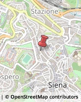 Università ed Istituti Superiori Siena,53100Siena