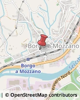 Comuni e Servizi Comunali Borgo a Mozzano,55023Lucca