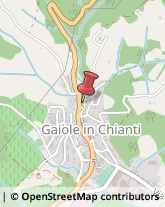 Tela Gaiole in Chianti,53013Siena