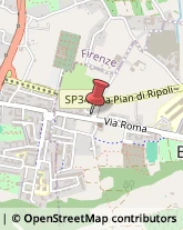 ,50012Firenze