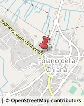 Estetiste Foiano della Chiana,52045Arezzo