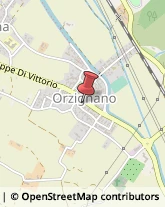 Consulenza di Direzione ed Organizzazione Aziendale San Giuliano Terme,56017Pisa