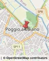 Commercio Elettronico - Società Poggio a Caiano,59016Prato