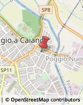 Campionari Poggio a Caiano,59016Prato