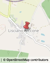Aziende Agricole Lisciano Niccone,06060Perugia