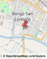 Pollame, Conigli e Selvaggina - Dettaglio Borgo San Lorenzo,50032Firenze