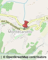 Macellerie Montecarotto,60036Ancona