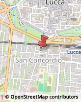 Consulenza di Direzione ed Organizzazione Aziendale Lucca,55100Lucca