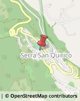 Vivai Piante e Fiori Serra San Quirico,60048Ancona