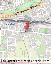 Autofficine e Centri Assistenza,55100Lucca