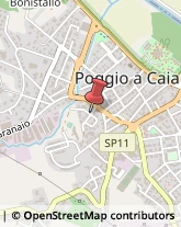 Fotocopie Poggio a Caiano,50013Prato