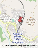 Tappezzieri Asciano,53041Siena