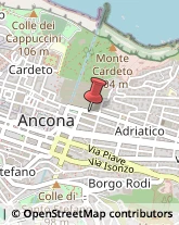 Analisi Cliniche - Medici Specialisti Ancona,60123Ancona