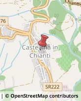 Istituti di Bellezza Castellina in Chianti,53011Siena