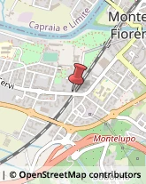 ,50056Firenze