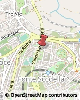 Licei - Scuole Private Macerata,62100Macerata