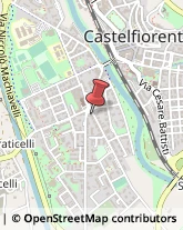 Farmacie Castelfiorentino,50051Firenze