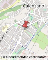 Naturopatia Calenzano,50041Firenze