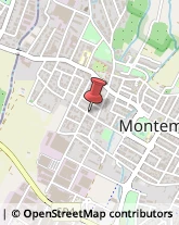 Erboristerie Montemurlo,59013Prato