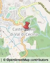 Cooperative Produzione, Lavoro e Servizi Castelnuovo di Val di Cecina,56041Pisa