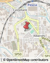 Borse - Dettaglio Pescia,51017Pistoia