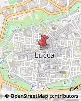 Factoring Lucca,55100Lucca