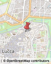 Parrucchieri,55100Lucca