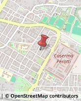 Autofficine e Centri Assistenza,50135Firenze