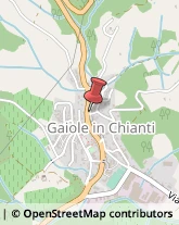 Agenzie Immobiliari Gaiole in Chianti,53013Siena