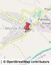 Alberghi Monte Porzio,61040Pesaro e Urbino