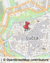 Tipografie Lucca,55100Lucca