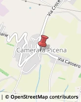 Etichette - Cartoleria Camerata Picena,60020Ancona