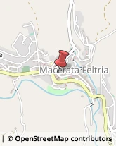 Piante e Fiori - Dettaglio Macerata Feltria,61023Pesaro e Urbino
