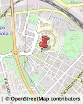 Piazza San Donato, 32,52100Arezzo