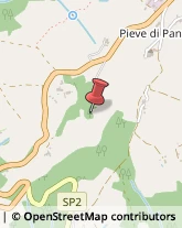 Panetterie Greve in Chianti,43019Firenze