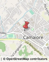 Ufficio - Mobili Camaiore,55041Lucca