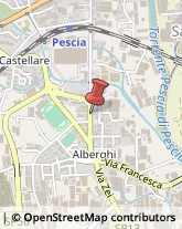 Brokers e Agenti di Assicurazione Pescia,51017Pistoia