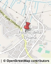 Agenzie Immobiliari Foiano della Chiana,52045Arezzo