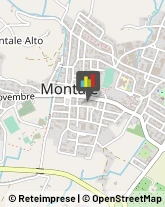 Asili Nido Montale,51037Pistoia