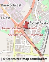 Consulenza Informatica,60131Ancona