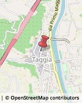 Medie - Scuole Private Taggia,18018Imperia