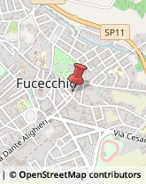 Agenzie Immobiliari Fucecchio,50054Firenze