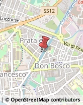 Trasporto Pubblico,56127Pisa