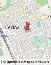 Agenzie Investigative Cecina,57023Livorno