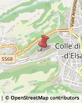 Piante e Fiori - Dettaglio Colle di Val d'Elsa,53034Siena
