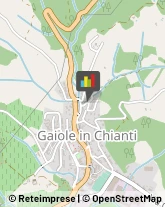 Onoranze e Pompe Funebri Gaiole in Chianti,53013Siena