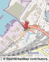 Trasporti Internazionali Ancona,60125Ancona