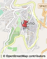 Calzature - Dettaglio Urbino,61029Pesaro e Urbino